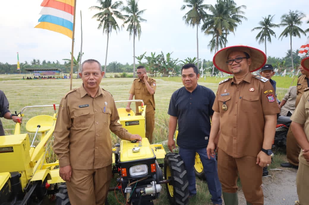 Wakil Walikota Tanjungbalai Panen Perdana Padi Sawah Dinas Perikanan, Pangan dan Pertanian Tahun 2026