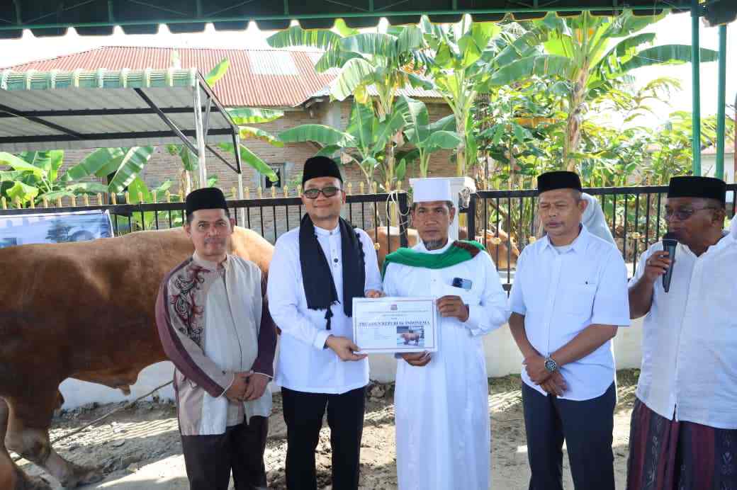 Pemerintah Kota Tanjungbalai Serahkan Bantuan Sapi Qurban Kemasyarakatan Presiden Prabowo Subianto di Masjid As Salamah.