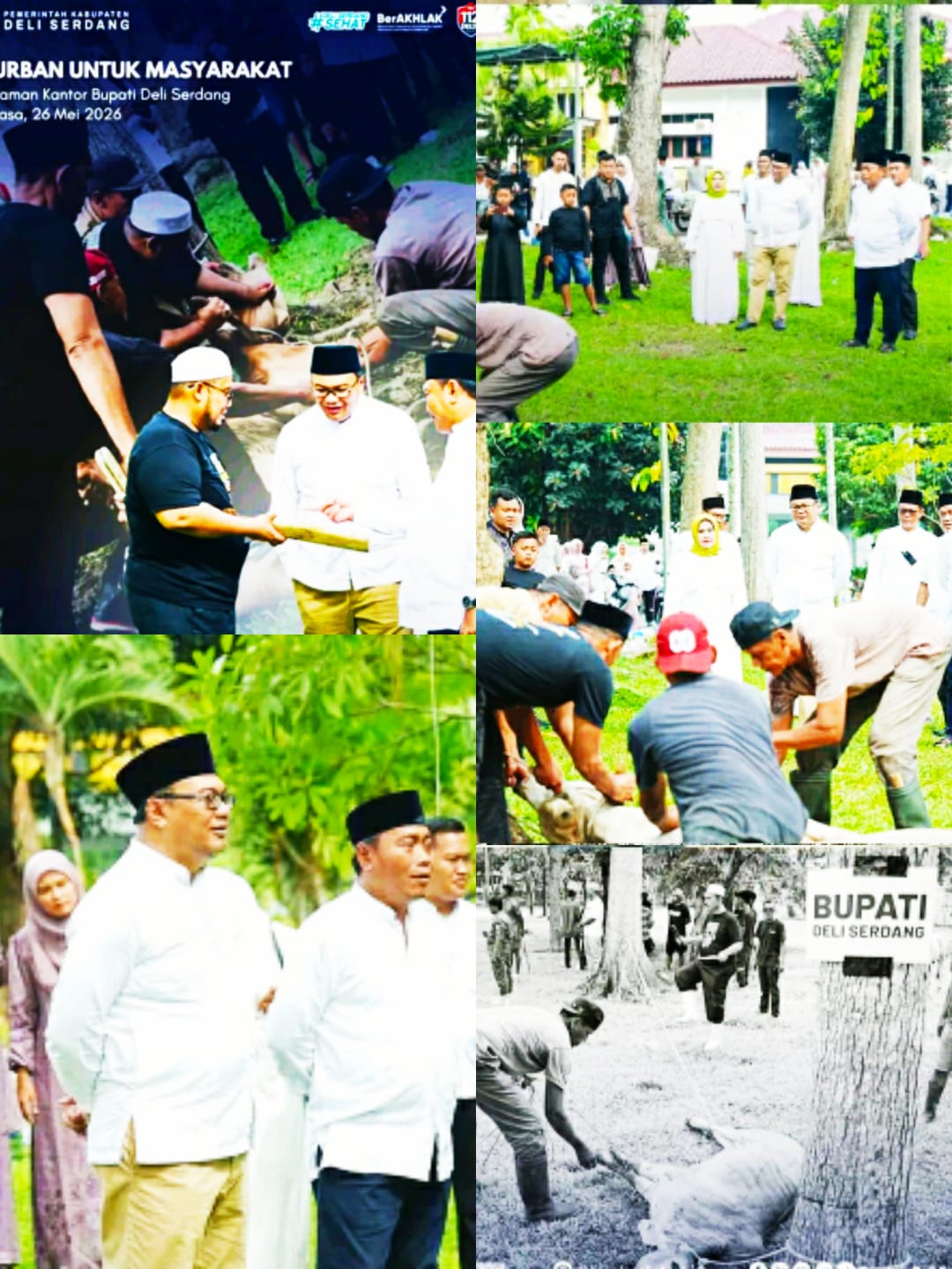 Hari Raya idul Adha Bupati, Wakil Bupati, Ketua TP-PKK Kabupaten Deli Serdang Sembelih Hewan kurban