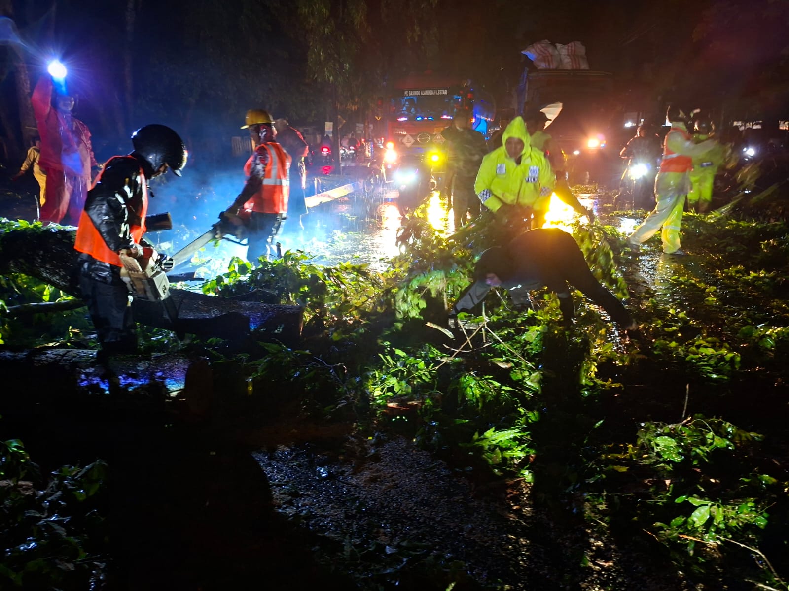 Polres Langkat Gerak Cepat Evakuasi Pohon Tumbang dan Urai Kemacetan Arus Lalulintas