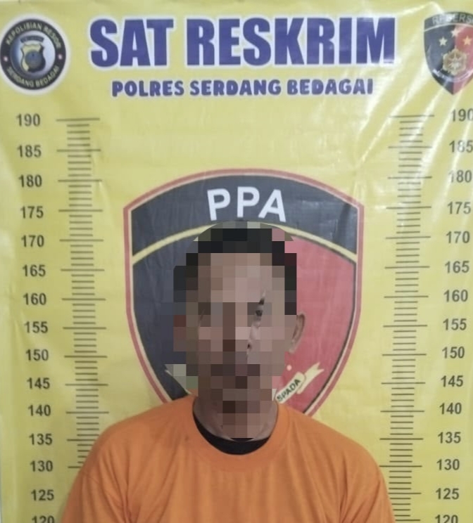 Polres Sergai Tangkap Pelaku Larikan dan Setubuhi Anak Dibawah Umur